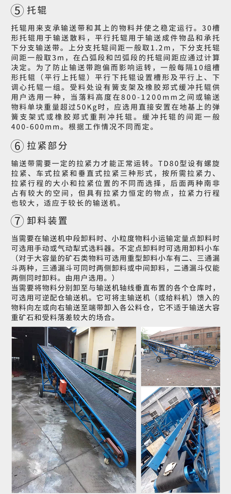 圖片8